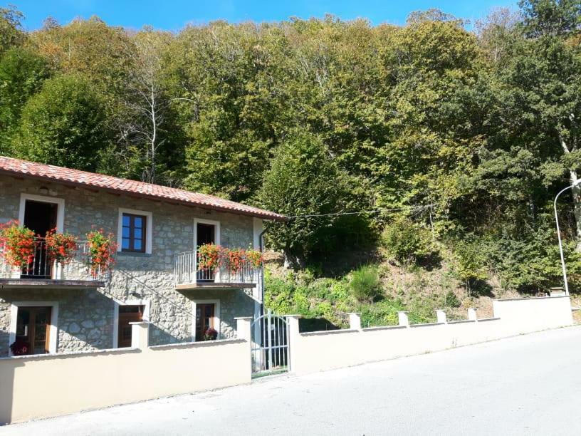 Affittacamere Da Morena Gorfigliano Exteriör bild